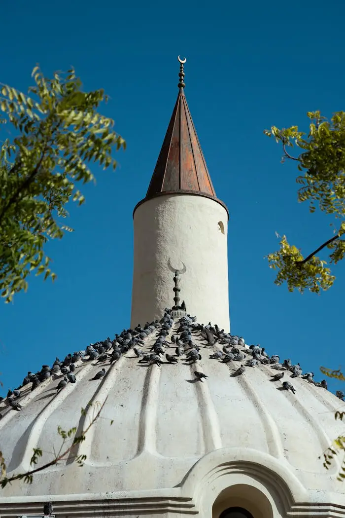 gallery-6 Pigeons resting on an Ottoman-style mosque dome in Medina, Saudi Arabia under clear blue skies.