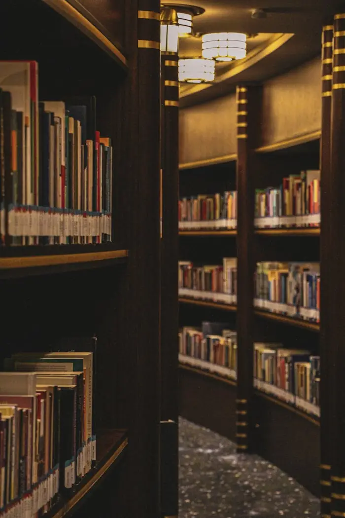 services-01 Inviting library interior featuring curved wooden bookshelves filled with diverse books, warmly lit ambiance.